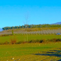 P1170044   Da sx, mt. Pizzocolo, nevai, mt Baldo.